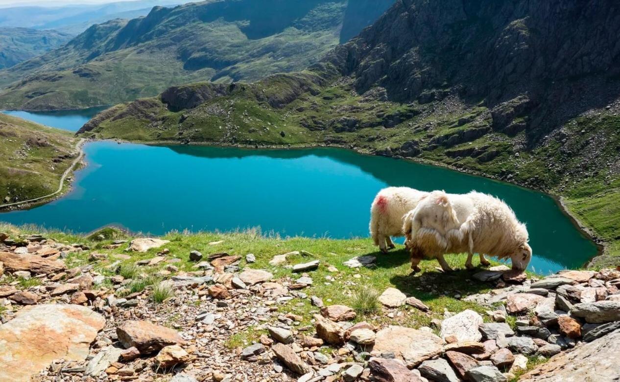 Hafan Y Mor Holiday Park Chwilog Eksteriør bilde